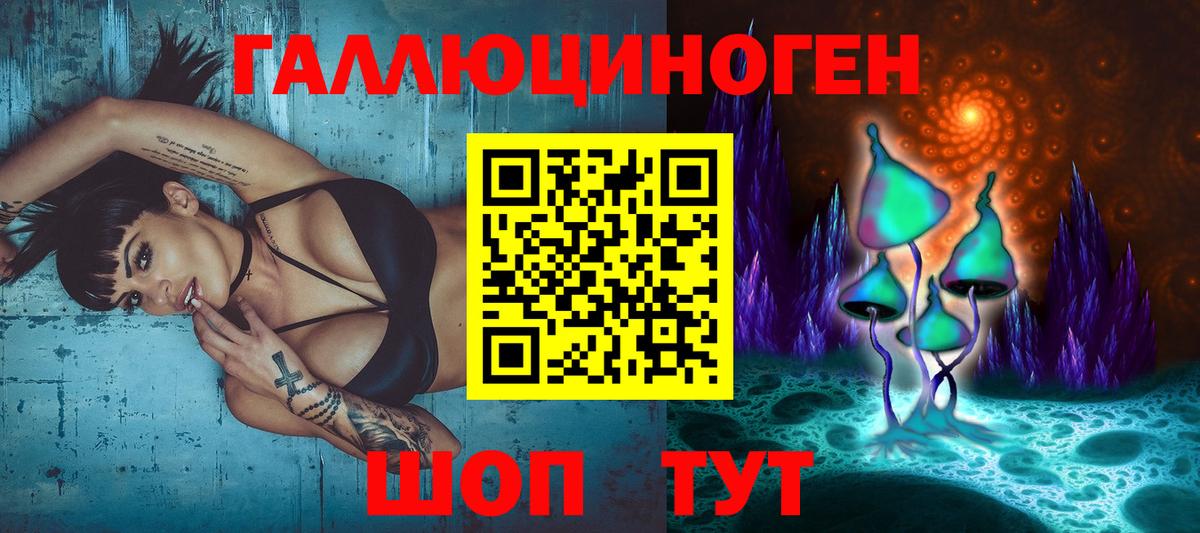 Псилоцибиновые грибы мицелий  Вход с VPN  Алексин  Псилоцибиновые грибы GOLDEN TEACHER 